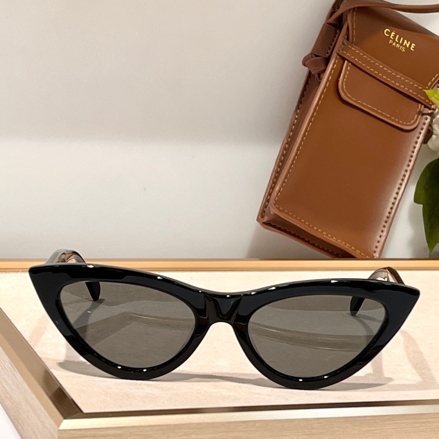 CELINE TRIOMPHE CAT EYE SUNGLASS CL40019 IN ACETATE