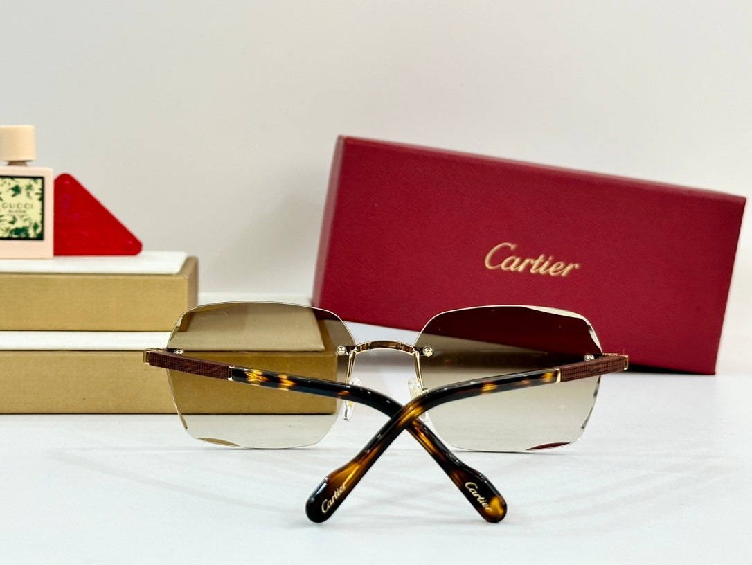 PREMIÈRE GEOMETRIC FRAME SUNGLASSES 530303 IN METAL AND WOODEN